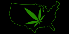 Dispensaries And Growers Are Too Big To Win