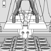 Grow Your Own: Let’s Grow Something