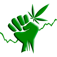 Opinion: Marijuana Use is Not on the Rise