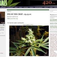 Rebirth: Colorado Schwag