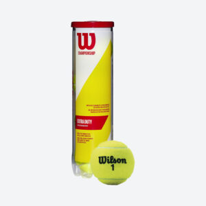 Tennis Balls - 1 Can
